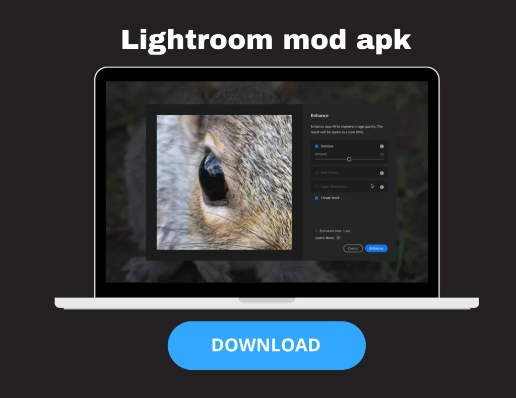 Lightroom MOD APK 2025 – Latest v10.5.2 Pro Version (Premium, No Ads, Free Download) 16 Lightroom MOD APK